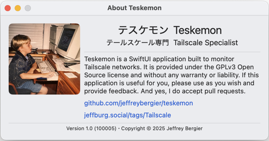 Teskemon About Window