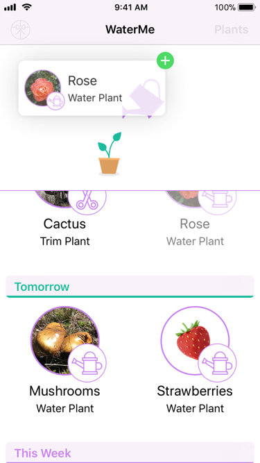 WaterMe v2.0 Screenshot 2