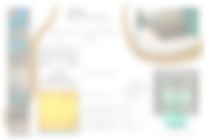 REDACTED Project